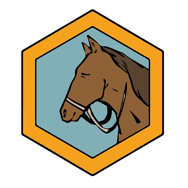 Equitation