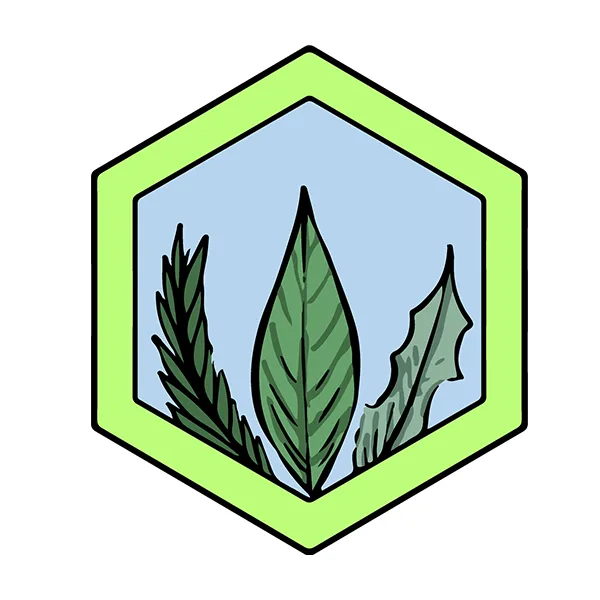 Botanique