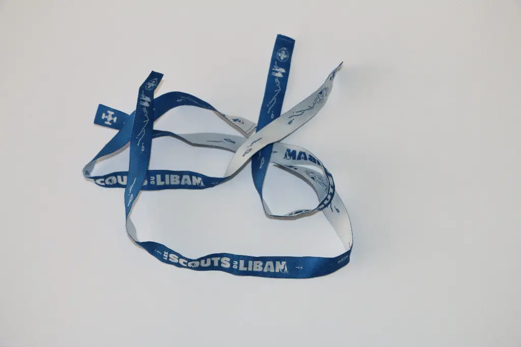 WristBand SDL