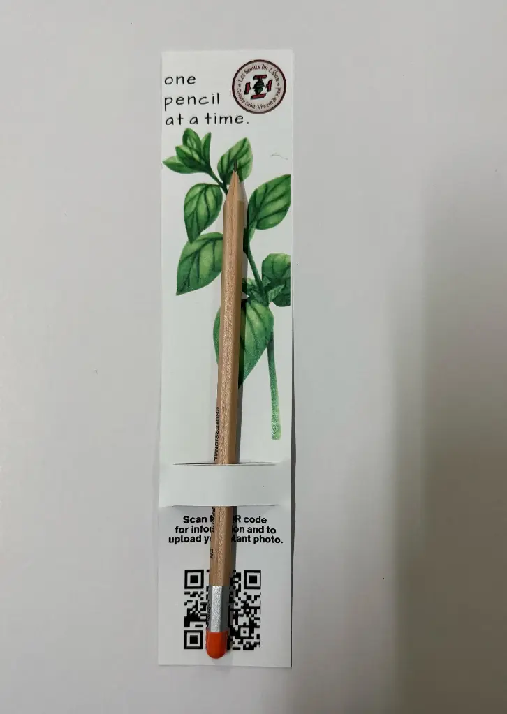 Plant Pencil