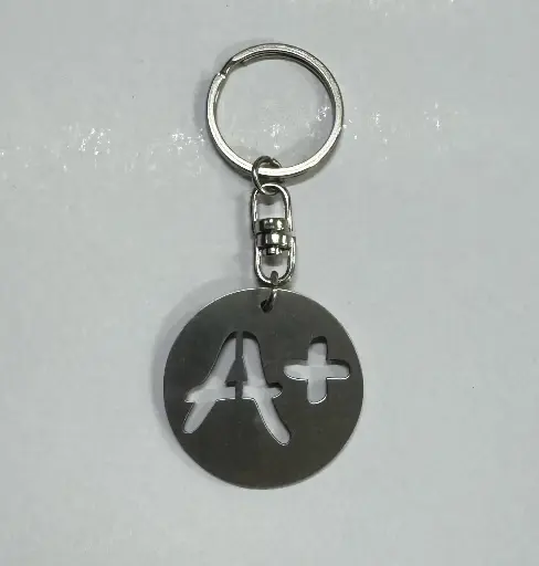 DSC Key Chains