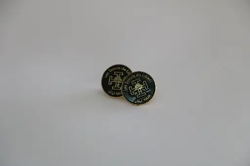 Pins SDL