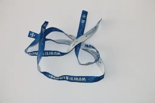 WristBand SDL