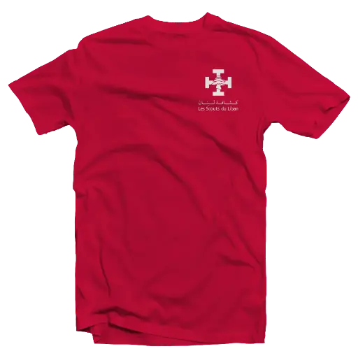 T shirt Moot 2016